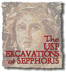 The Dig At Sepphoris