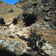 Wadi el-Yabis looking east.